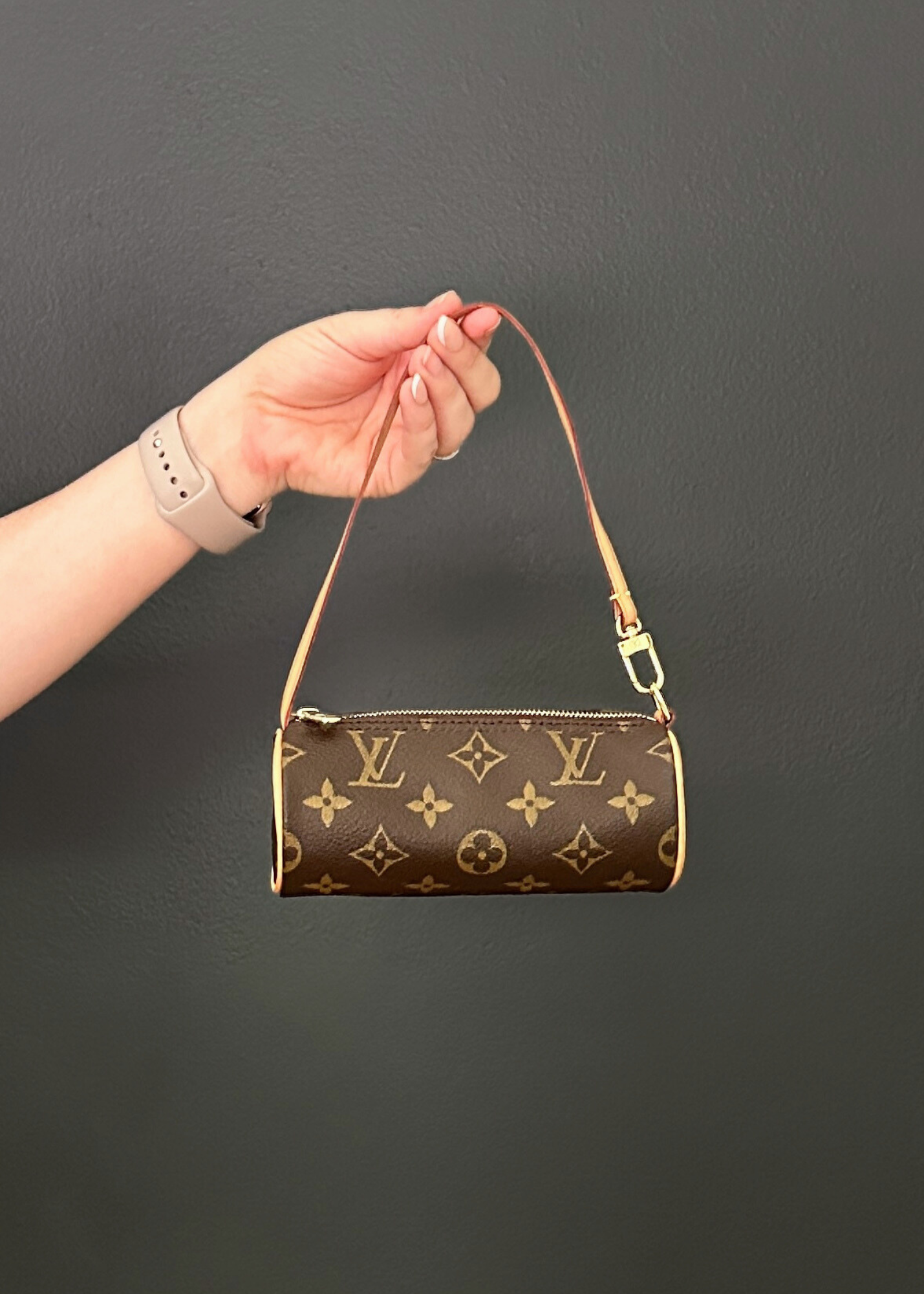 Louis Vuitton Monogram Mini Papillon
