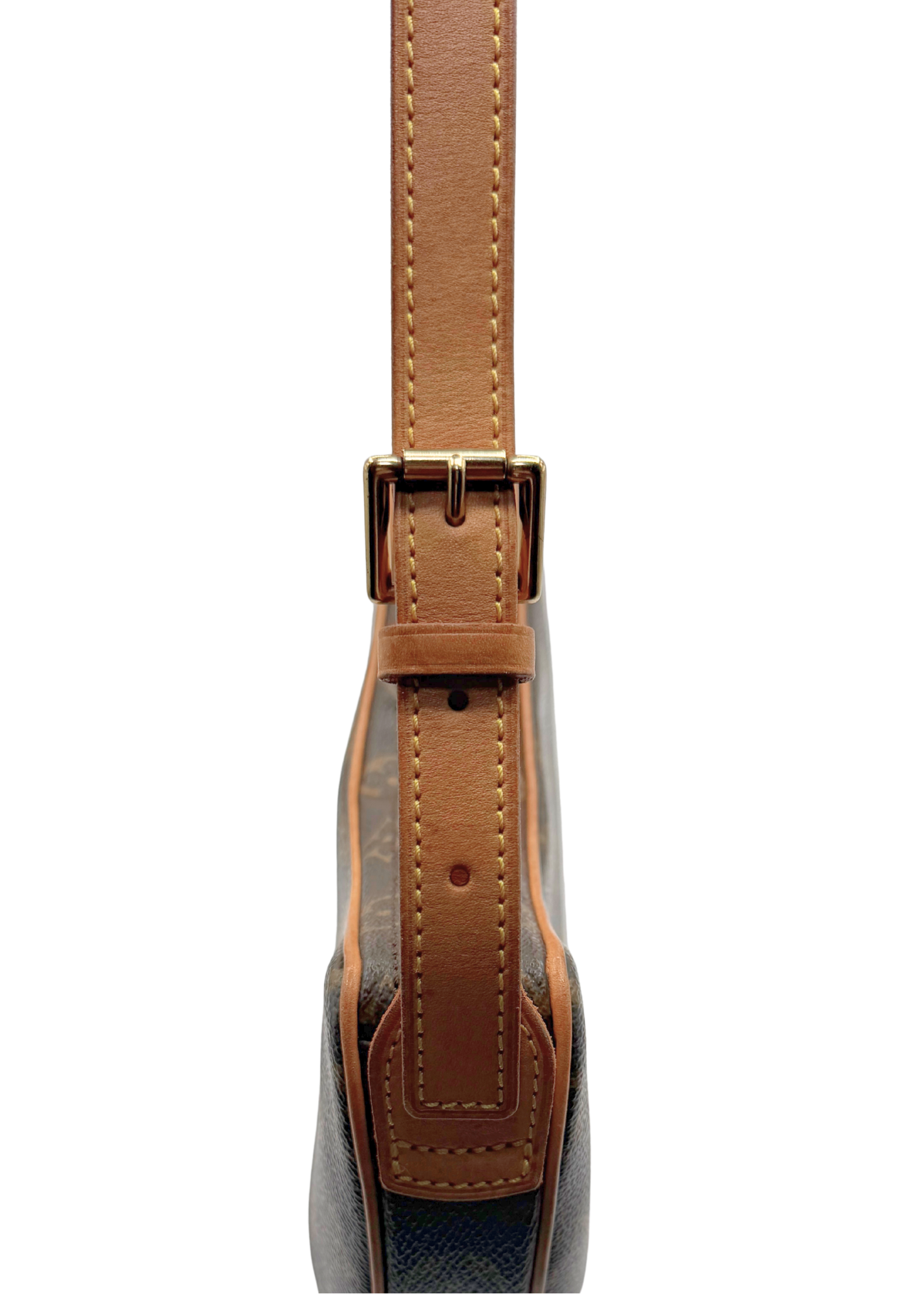 LOUIS VUITTON CROISSANT PM